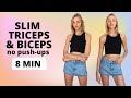 Slim and Lean Triceps & Biceps No Push-Up Arm Workout / Nina Dapper