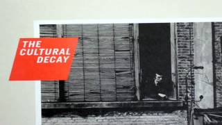 The Cultural Decay - I never Loved you