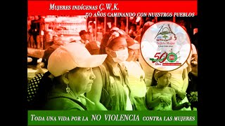 25 de Noviembre - Eliminando las violencias contra las mujeres de nuestros territorios