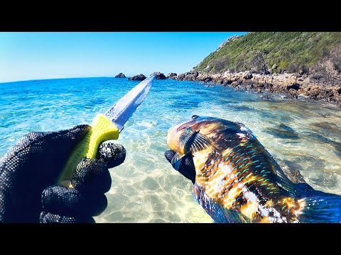 Alone Hunting Fish For Food - SOLO CAMPING Uninhabited Islands - Catch And Cook