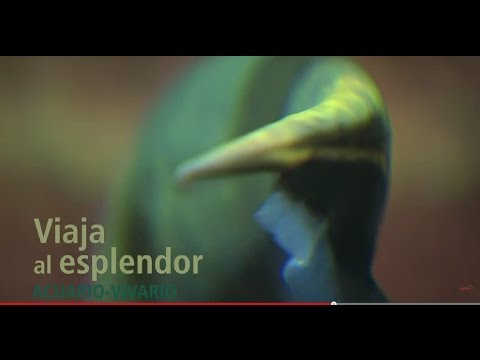Promo: Biodiversidad Explora | Parque Explora