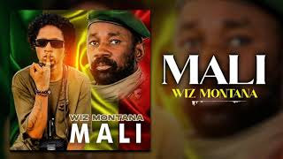 WIZ MONTANA  MALI Son Officiel