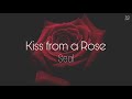 Kiss from a Rose - Seal with Lyric