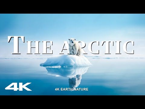 The Arctic 4K - Nature's Symphony: Experience The Arctic Majestic Landscapes and Tranquil Melodies