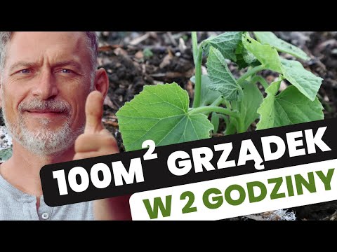 🥕 JEDZENIE na CAŁY ROK bez plewienia i podlewania (jak łatwo przygotować grządki❓)