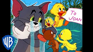 Tom & Jerry  Little Trouble Little Quacker!  C