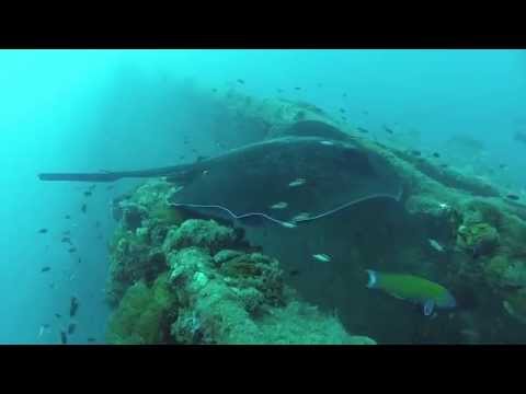 Into the Blue - Great Barrier Reef (2013)