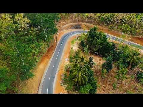 Man Running With His Dogs