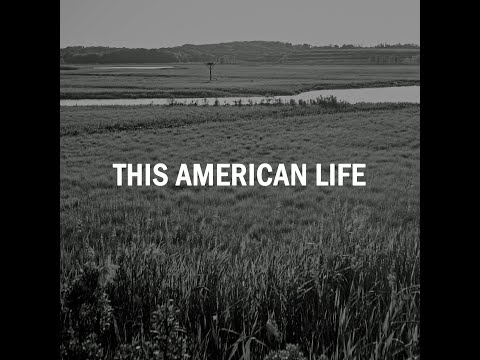 This American Life Official Music Video
