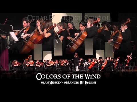 CRHS Philharmonic B Orchestra - 2015 Pops Concert
