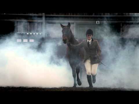 Join the charge! CARE about Laminitis