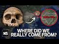 New Denisovan Skull Rewrites Our Family Tree