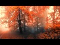 Осень - Лицей cover (FerenZiLLAcover) 