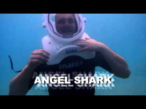 Sea Trek Lanzarote walking with the  Angel sharks