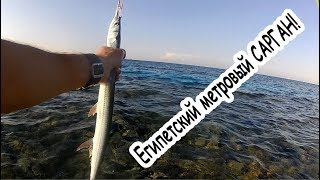 В хургаде рыбалка