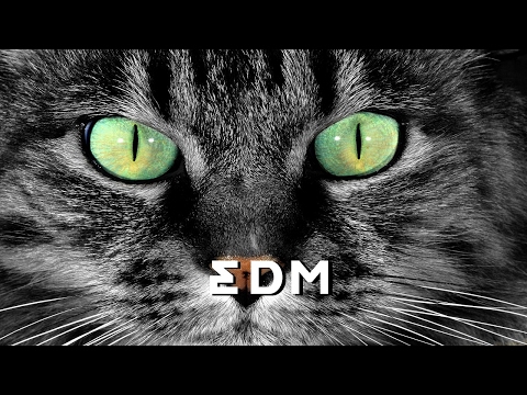 Alan Walker x David Whistle - Routine