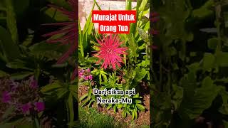 Download lagu Munajat Untuk Orang Tua #yukberdoa #motivation #dosa #quotes #katakatabijak mp3