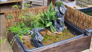 Medaka Biotope - Japanese Style #tutorial #medaka #ricefish #diy 