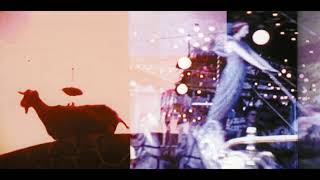 The Nels Cline Singers - Slipped Away