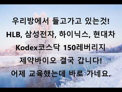 HLB는 괜찮습니다. 옵션만기 잘 넘어갔네요. 삼성전자, 하이닉스, 현대차, 코스닥 레버리지도 잘 들고가고 있습니다.