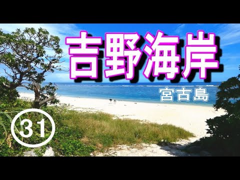 Miyakojima Yoshino Coast Snorkeling Parte 31 2023.11.22