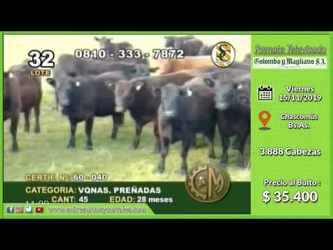 15-11-19 - Venta de Vientres - Remate Televisado de Colombo y Magliano S.A. - Chascomús