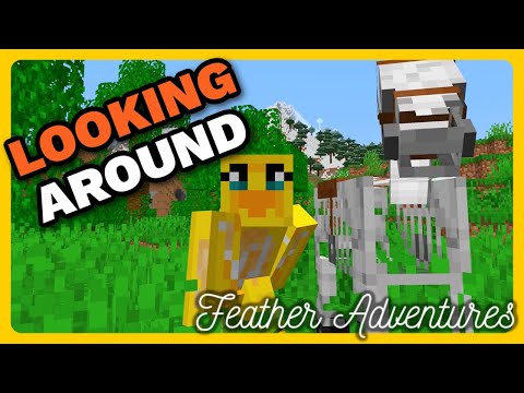 Feather Adventures : LOOKING AROUND - {340}