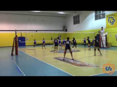 Sintesi Filarete - Goss