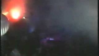 Astralasia-Usra Major Cowslip Live