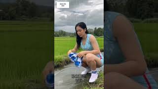 Download lagu Gadis di Sawah Emas 🌾✨ | Suasana Pedesaan yang Tenang dan Damai mp3 Download lagu Gadis di Sawah Emas 🌾✨ | Suasana Pedesaan yang Tenang dan Damai mp3