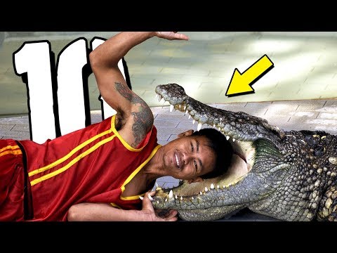 10 najgłupszych śmierci - NAGRODY DARWINA 4 [TOPOWA DYCHA]