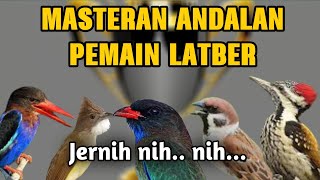 Download lagu MASTERAN ANDALAN MURAI BATU LOMBA SUARA JERNIH. MATERI TEMBAKAN ROLL BESETAN KASAR MUDAH MASUK mp3 Download lagu MASTERAN ANDALAN MURAI BATU LOMBA SUARA JERNIH. MATERI TEMBAKAN ROLL BESETAN KASAR MUDAH MASUK mp3