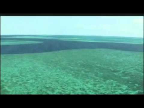 Space Dynamix - Ocean Blue (Deep Ocean Trance Version)