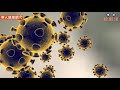 【影音版】新冠疫苗作用機制為何？接種新冠疫苗安全嗎？常見10大Q&A一次看懂