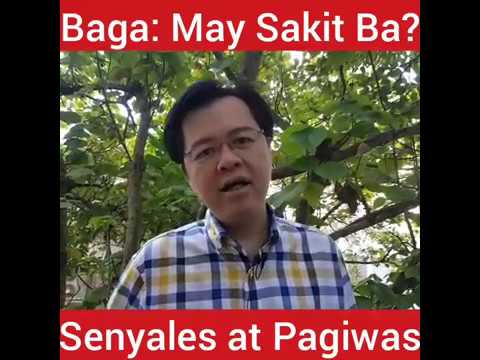 Na may isang tuwalya magsanay para sa slimming tiyan at mga gilid Pagkain para sa mabilis na taba burning