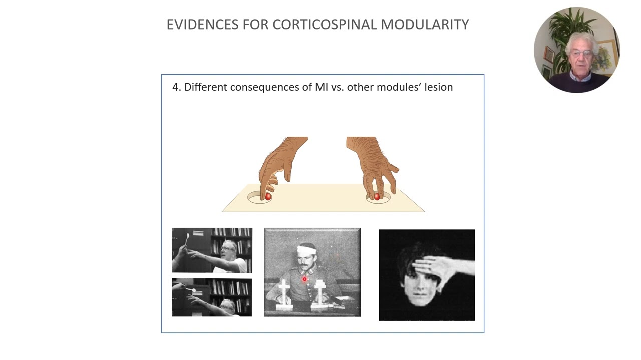 Lezioni di Fisiologia - Prof. Roberto Caminiti: "The local nature of command functions"