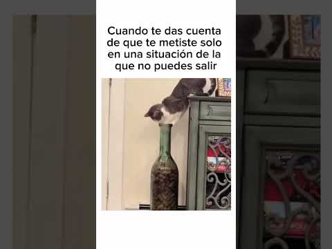 Cuando te das cuenta de que te metiste tú solo en una situación de la que no puedes salir