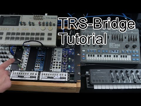 TRS-Bridge introduction and tutorial