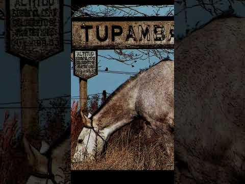 A Tupambaé #versos #Tupambaé #cerrolargo