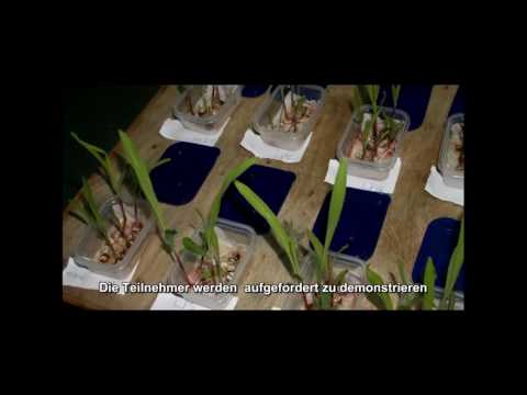 2016 12 15 PM Public Teachings in German - Öffentliche Schulungen in Deutsch