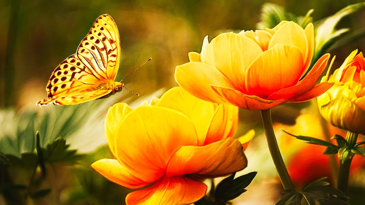 This 3 Verses Will DESTROY Demons in Your House - Read This and KILL THEM - C.S Lewis Sermons 2025