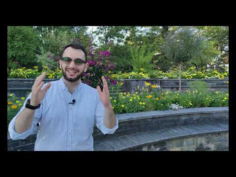 Dhëmbët e krehërit janë të dobishëm vetëm kur janë të bashkuar - Mesazhi 44