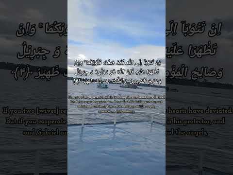 Surah At- Tahrim #quranlover #islmicvideos #shortsbook #fazlul 85