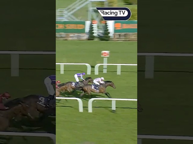 Thumbnail for Post ID: el6q3PnM5Bc