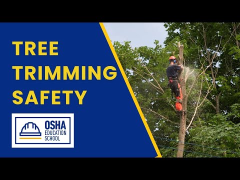 Tree Trimming | Safety Training |  Workplace Safety Certification