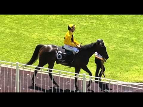 Ascot, 5/03/2016 - Race 1 - NORTH RIDE - Fred Kersley & Steven Parnham