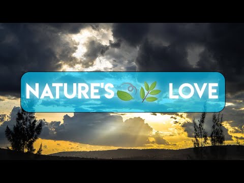 NATURE Is BEAUTIFUL ❤️🍃🌿
