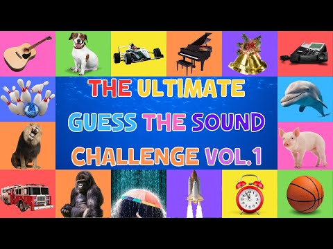 The Ultimate Guess the Sound Challenge for Kids - Volume 1 | 4K
