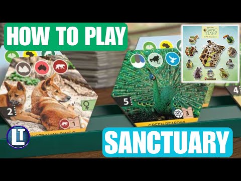 SANCTUARY:  How To Play This Simpler Version of Ark Nova