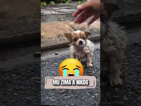 Tohle nečekala 😱🔥